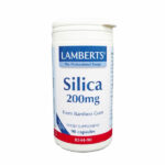 LAMBERTS SILICA 90CAP
